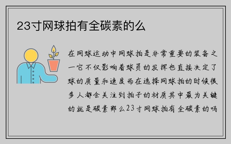 23寸网球拍有全碳素的么