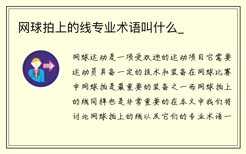 网球拍上的线专业术语叫什么_