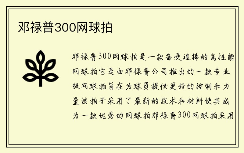 邓禄普300网球拍