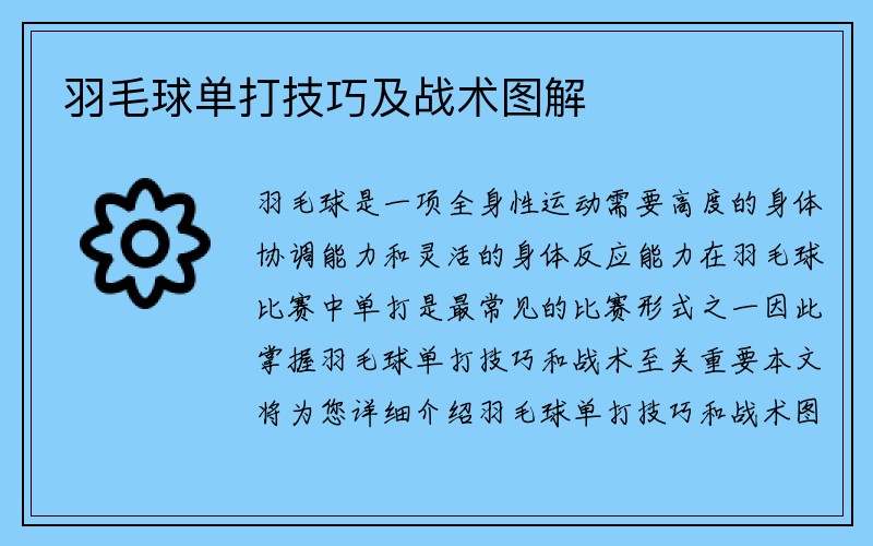 羽毛球单打技巧及战术图解